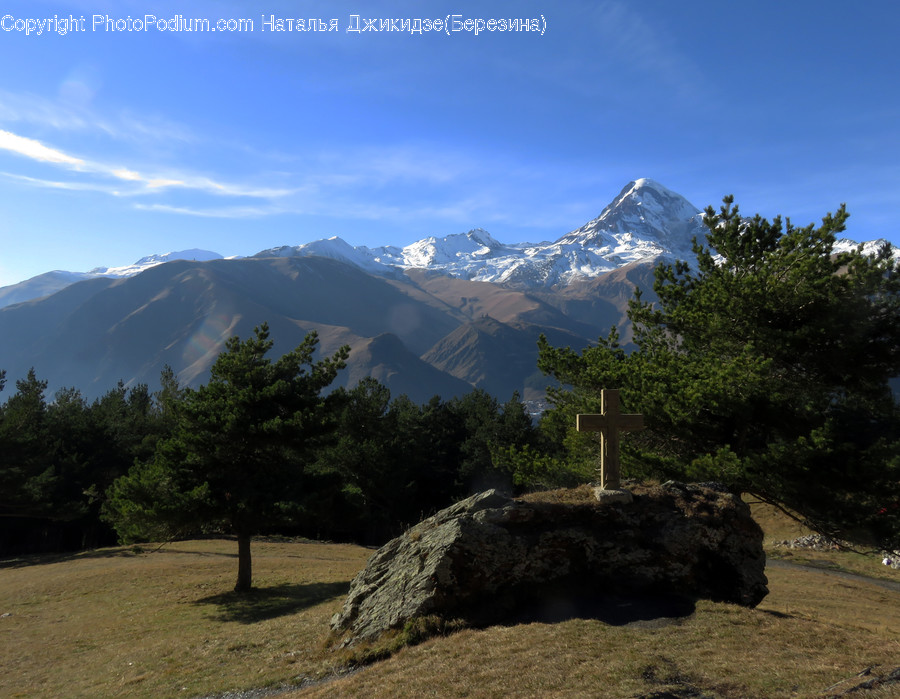 Nature, Tree, Plant, Outdoors, Mountain