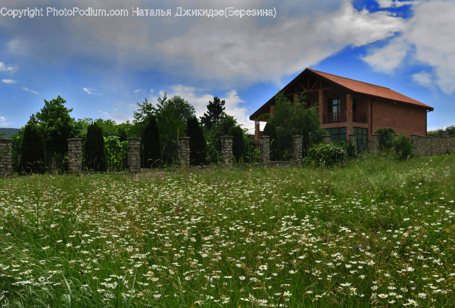 Nature, Outdoors, Building, Countryside, Grassland