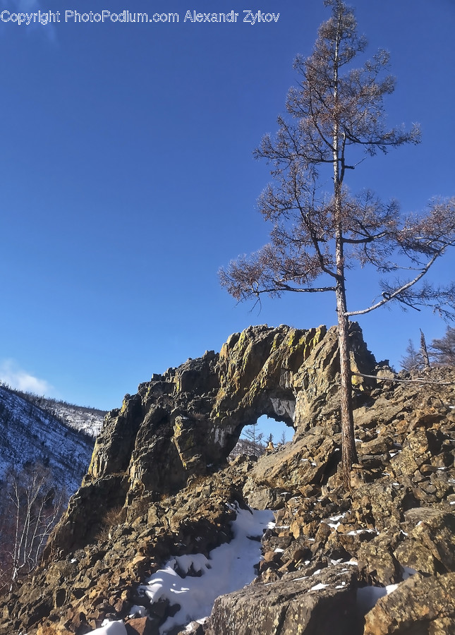 Outdoors, Nature, Ice, Tree, Plant