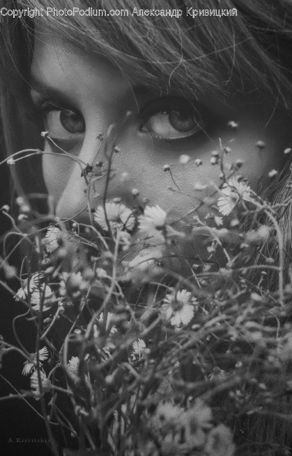 Face, Human, Person, Plant, Female