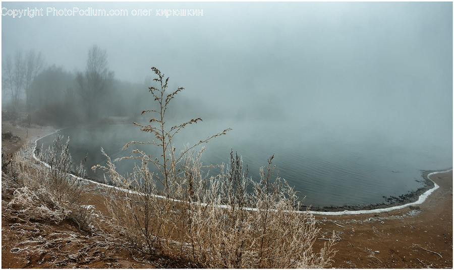 Nature, Weather, Fog, Outdoors, Mist