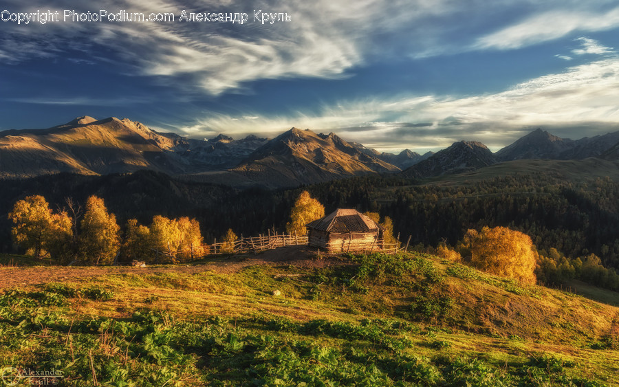 Nature, Outdoors, Plant, Tree, Mountain Range