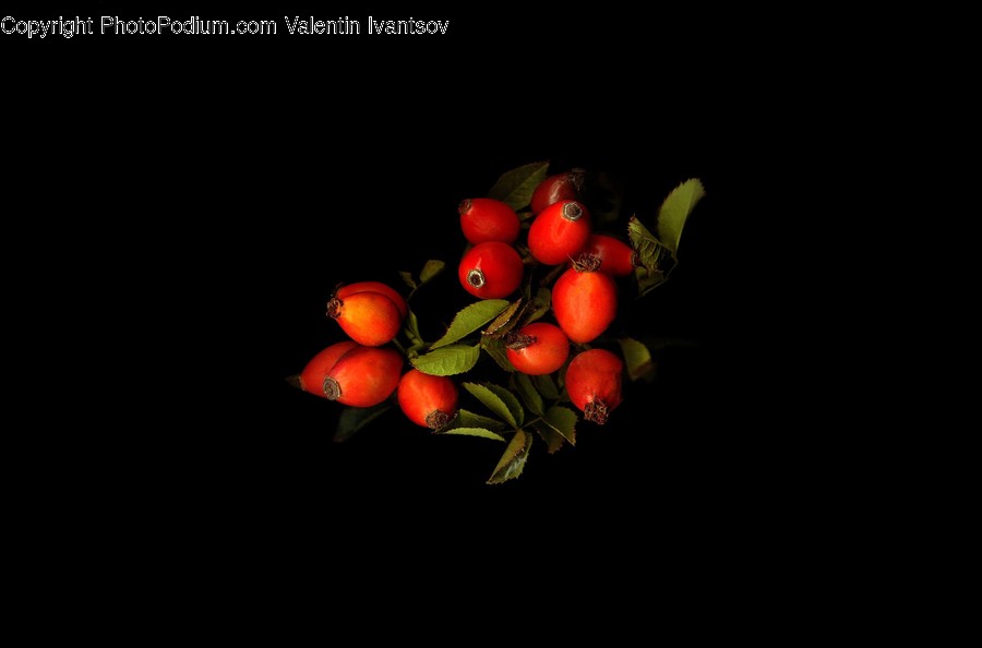 Plant, Food, Fruit, Produce, Citrus Fruit