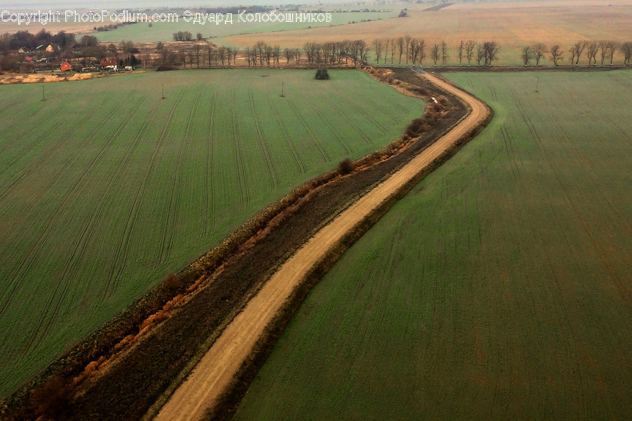 Nature, Outdoors, Scenery, Field, Land