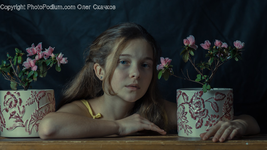 Plant, Flower, Blossom, Person, Human
