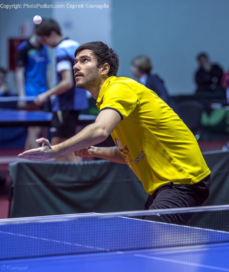 Human, Person, Sports, Sport, Ping Pong