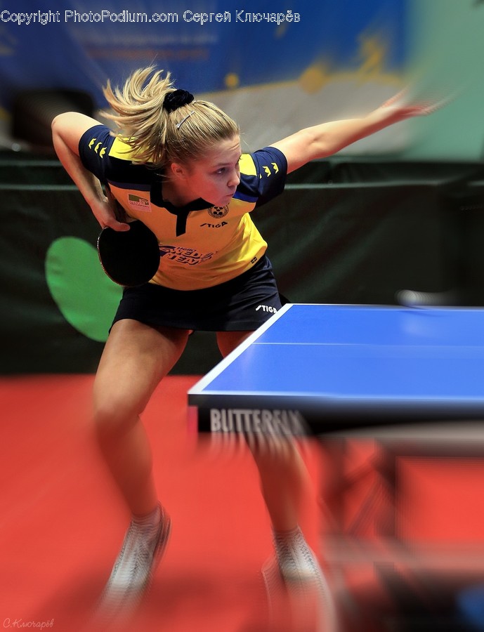 Human, Person, Sports, Ping Pong, Sport
