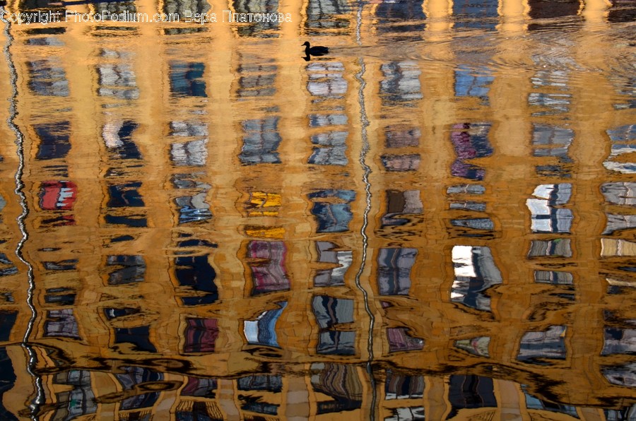 Water, Outdoors, Rug, Ripple, Bird