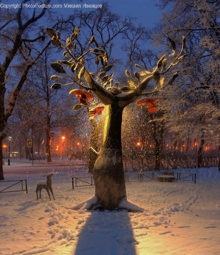 Nature, Outdoors, Snow, Storm, Winter