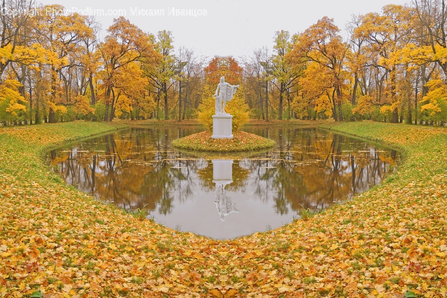 Water, Outdoors, Nature, Plant, Land