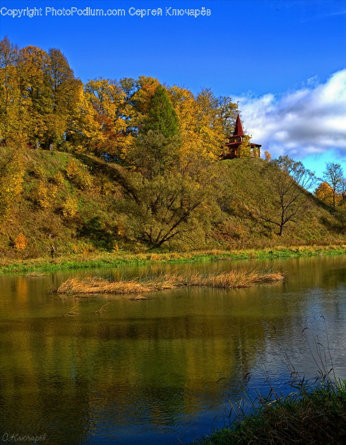 Water, Nature, Outdoors, Lake, Plant