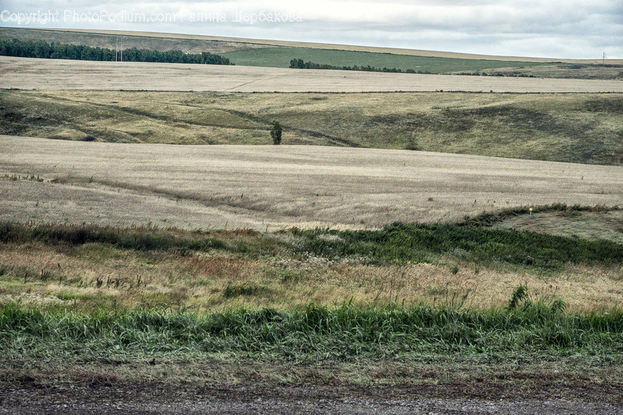 Ground, Nature, Outdoors, Field, Grassland