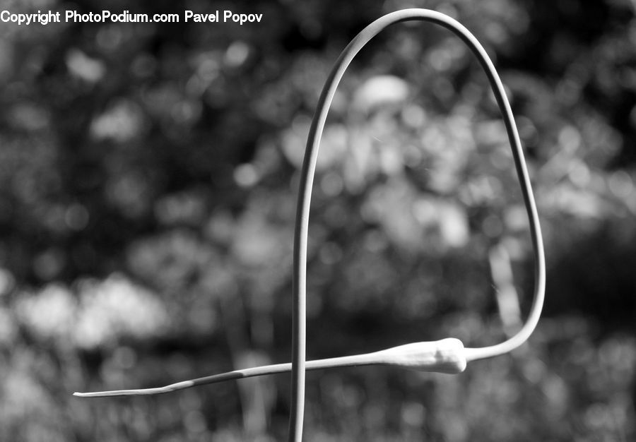 Bubble, Spiral