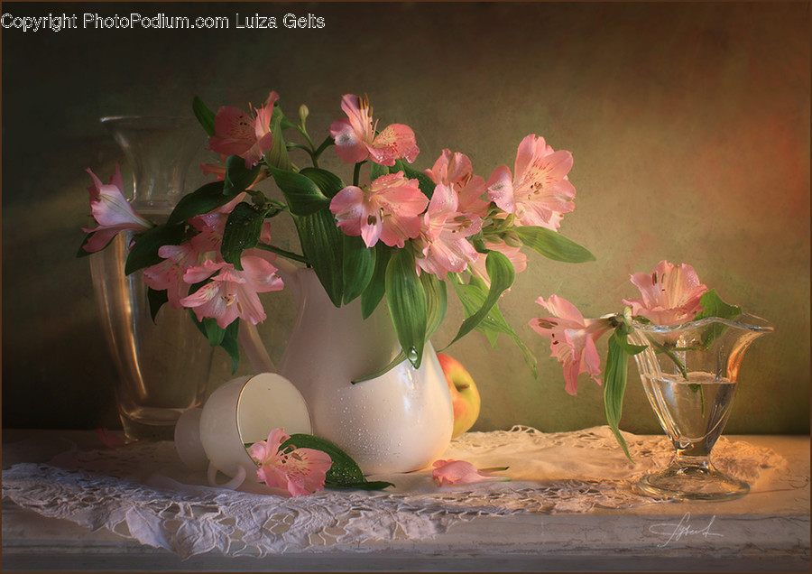 Plant, Flower, Blossom, Furniture, Flower Arrangement