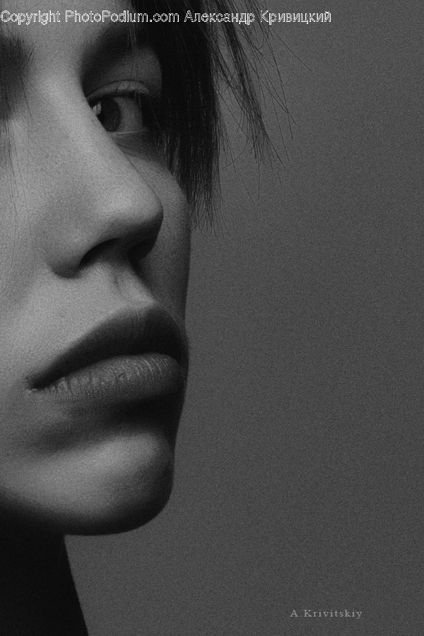 Face, Person, Human, Head, Jaw