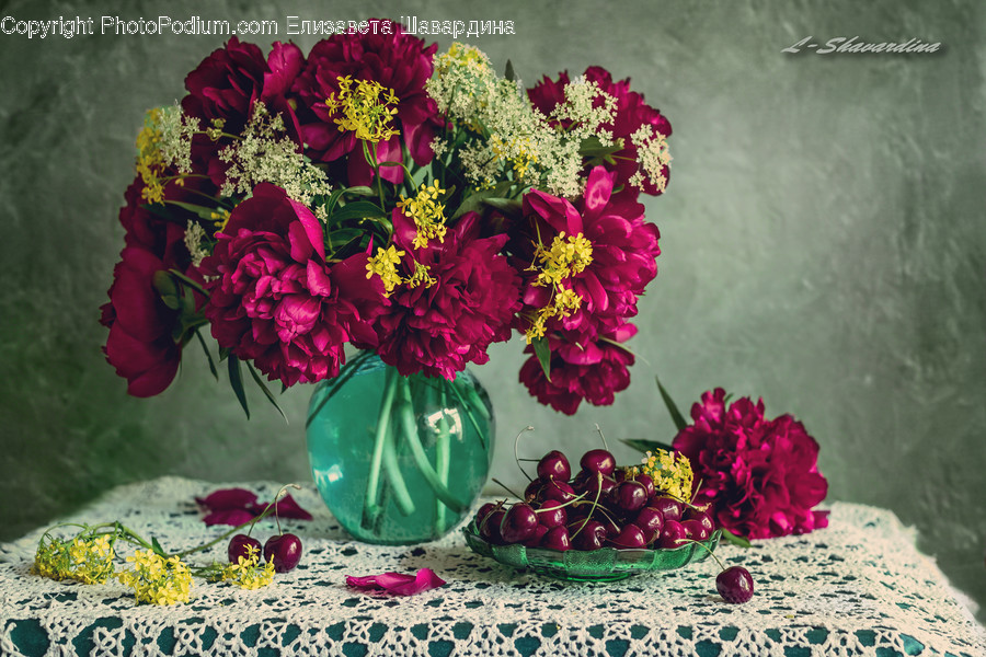 Plant, Flower Arrangement, Blossom, Flower, Flower Bouquet