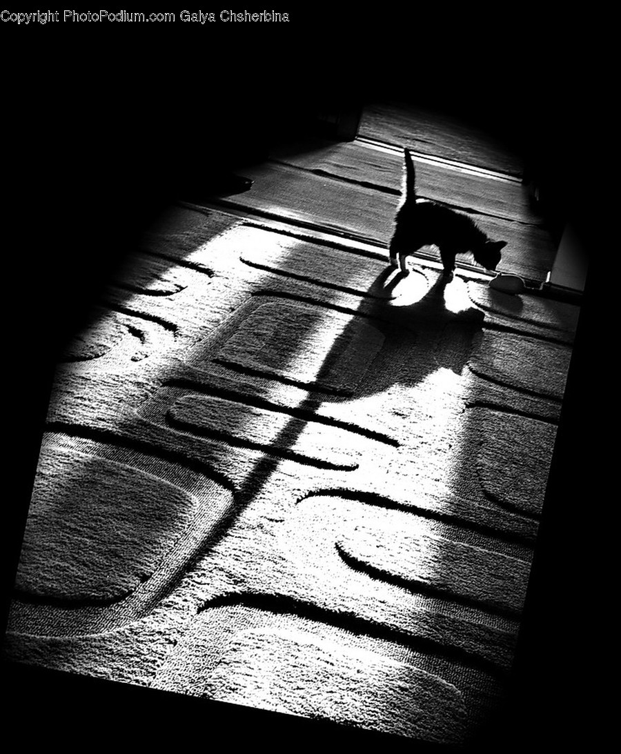 Silhouette, Path, Apparel, Clothing, Floor