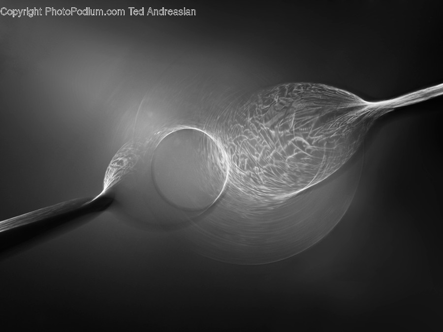 Cutlery, Spoon, Photo, Photography, Bird