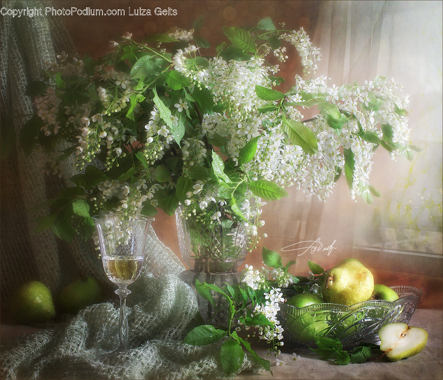 Plant, Citrus Fruit, Food, Fruit, Pottery