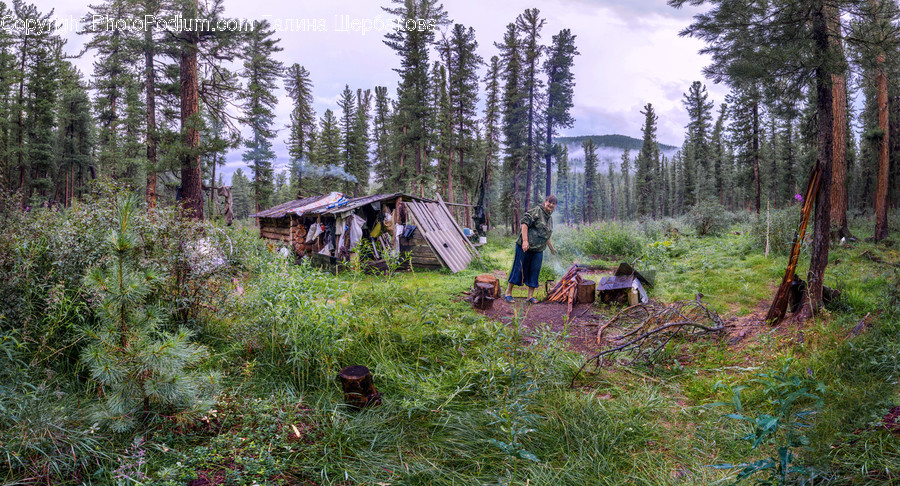 Nature, Outdoors, Building, Human, Person