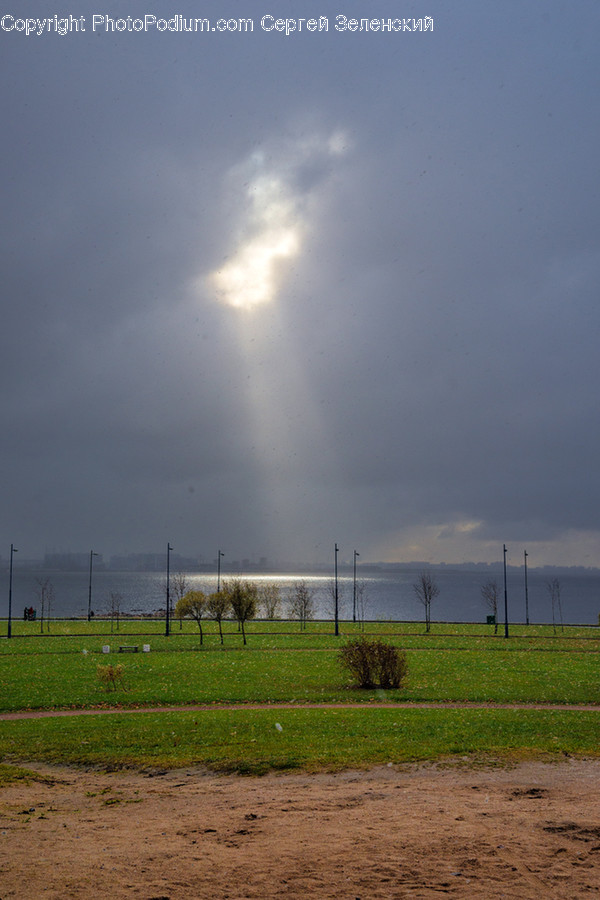 Flare, Light, Grass, Plant, Sunlight