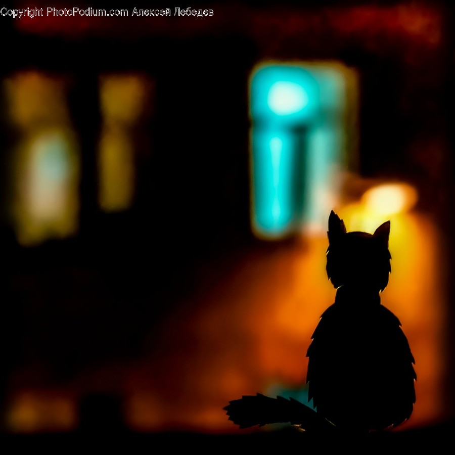 Lighting, Animal, Mammal, Cat, Pet