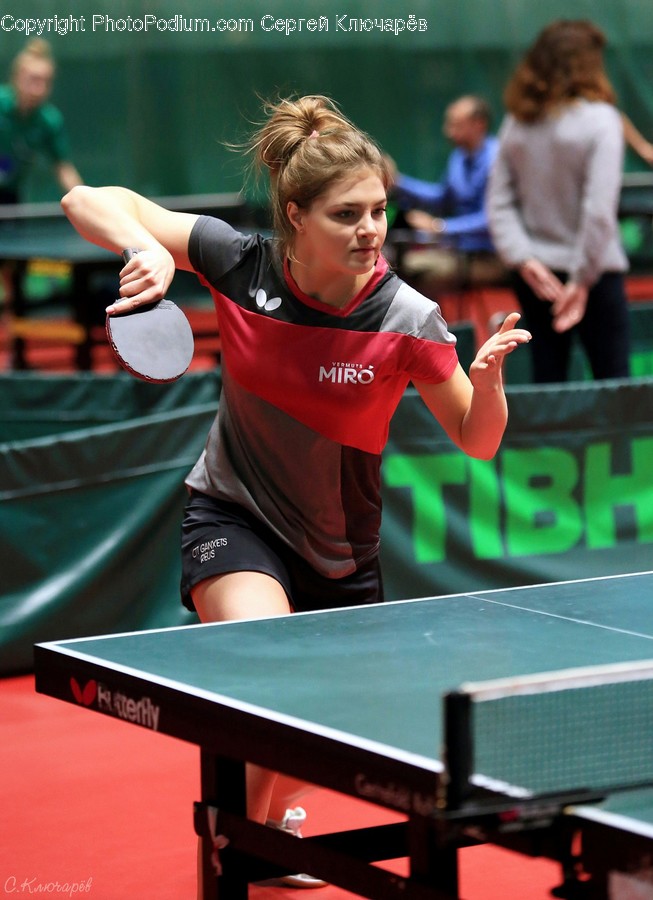 Human, Person, Sport, Ping Pong, Sports