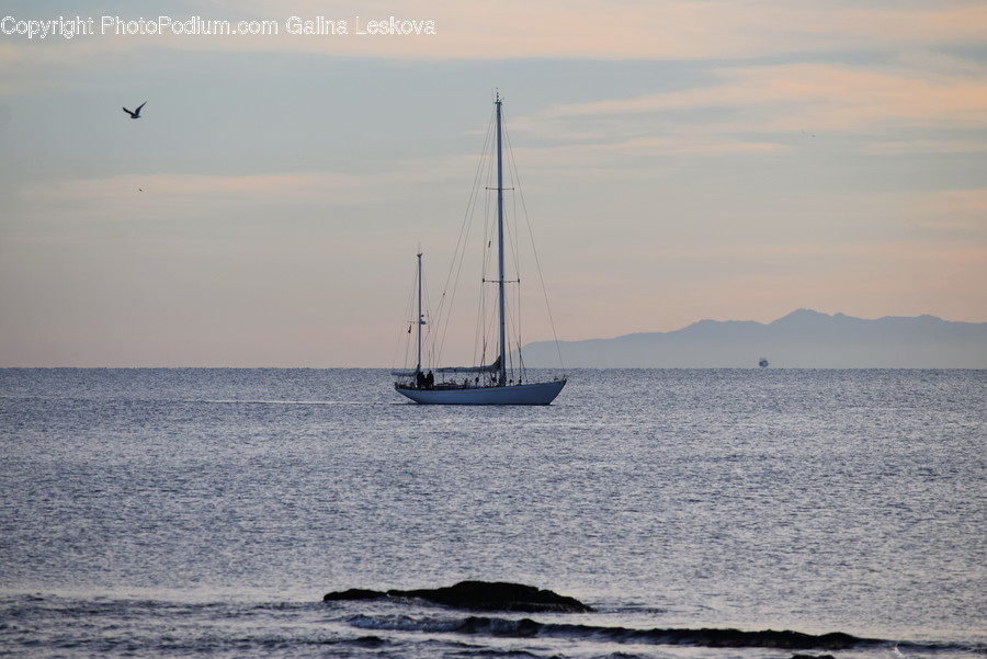 Boat, Transportation, Vehicle, Vessel, Watercraft