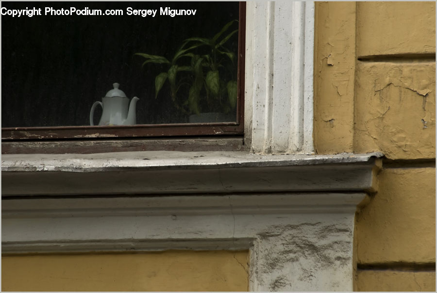 Plant, Potted Plant, Brick, Pot, Pottery, Fence, Wall