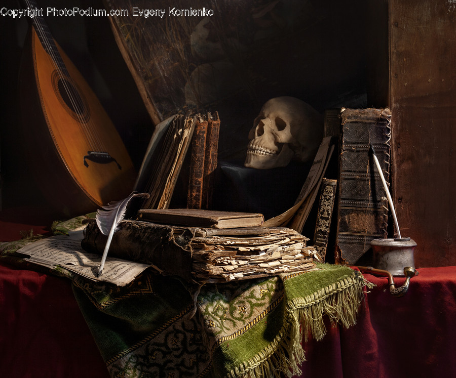 Furniture, Lute, Musical Instrument, Wood, Art