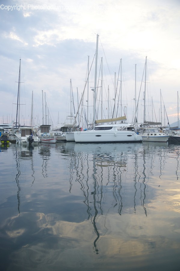 Boat, Transportation, Vehicle, Marina, Water