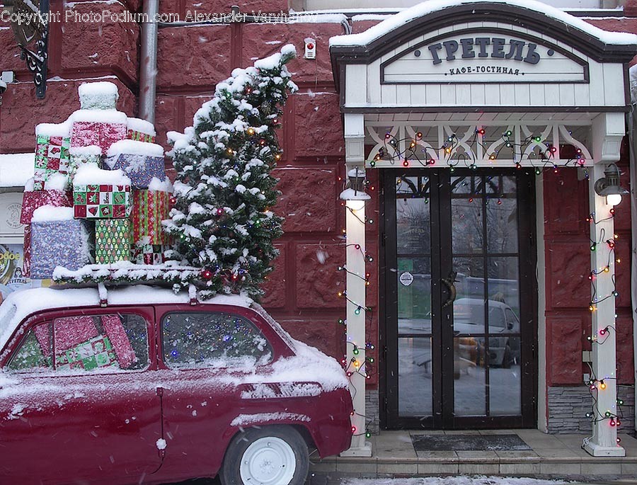 Tree, Plant, Transportation, Automobile, Car