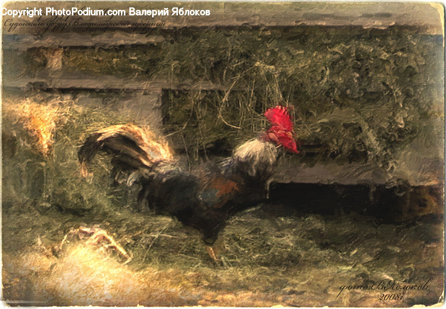 Chicken, Cock Bird, Fowl, Poultry, Rooster, Maple, Maple Leaf