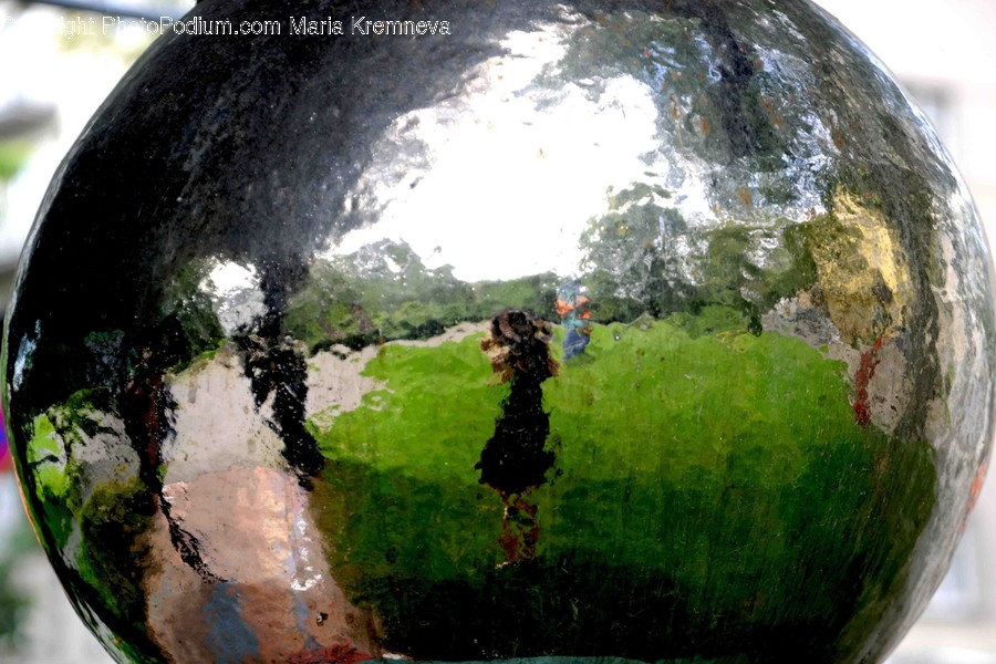 Vegetation, Plant, Outdoors, Sphere, Fisheye