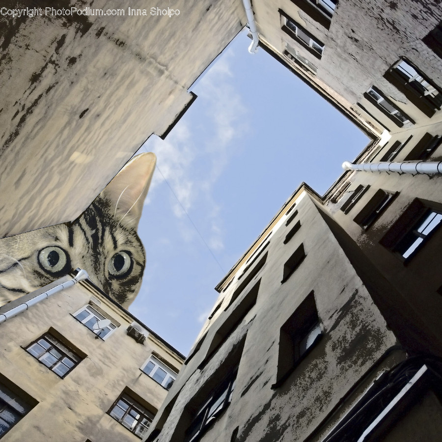 Building, Tower, Architecture, Clock Tower, Animal