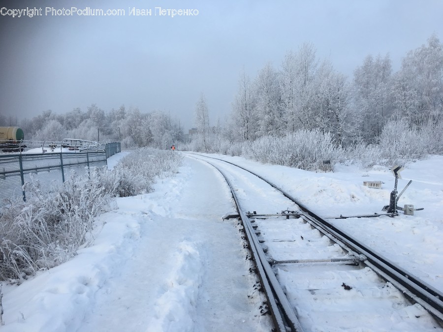 Rail, Transportation, Railway, Train Track, Nature