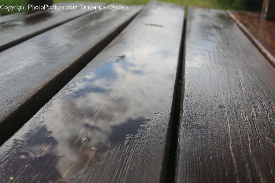 Furniture, Park Bench, Bench, Wood, Bird
