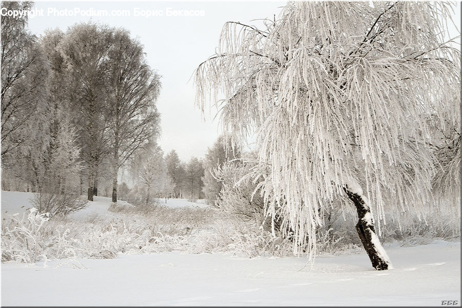 Blizzard, Outdoors, Snow, Weather, Winter, Frost, Ice