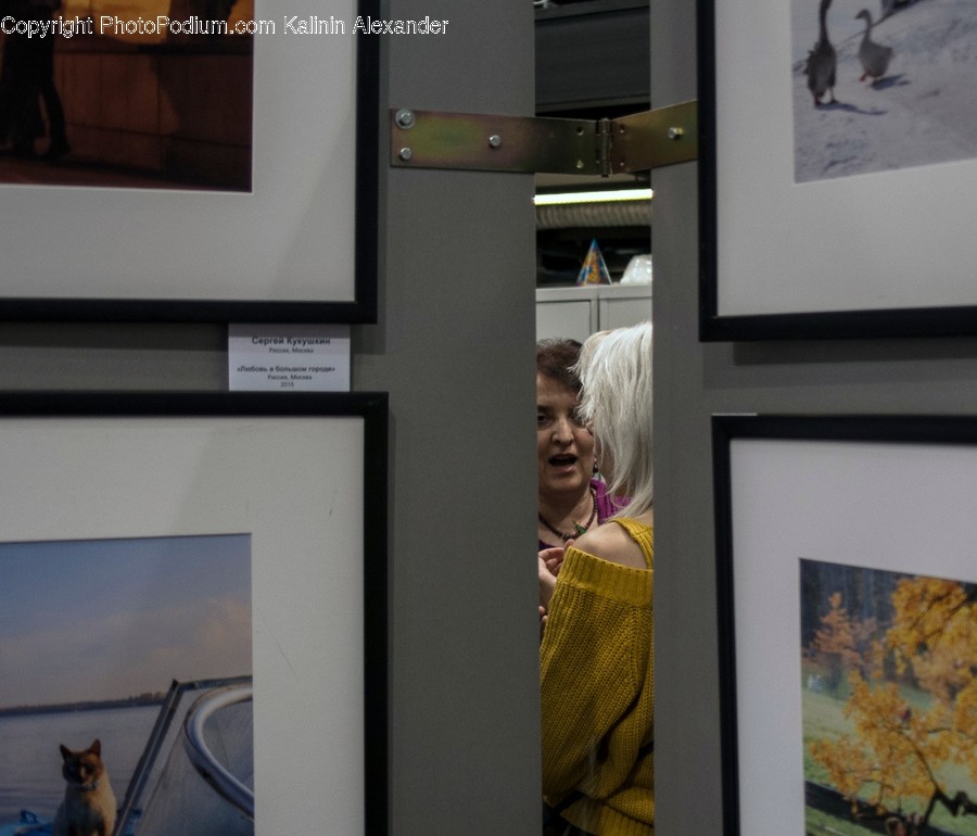 Art, Art Gallery, Person, Human, Interior Design