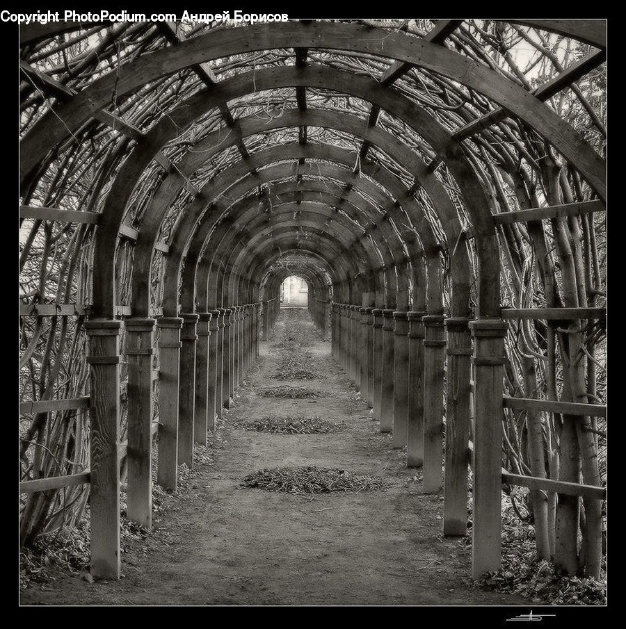 Crypt, Tunnel, Corridor, Arbour, Path, Trail