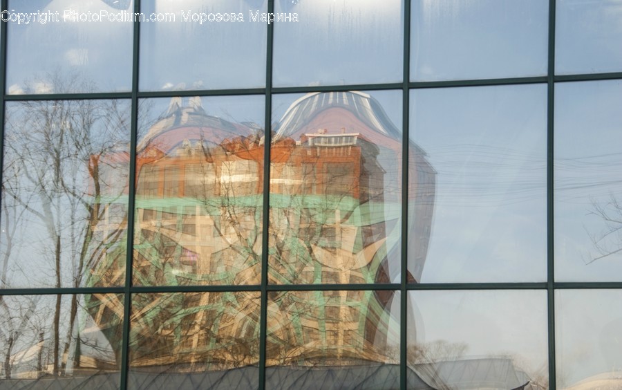 Window, Building, Architecture, Skylight, Bird