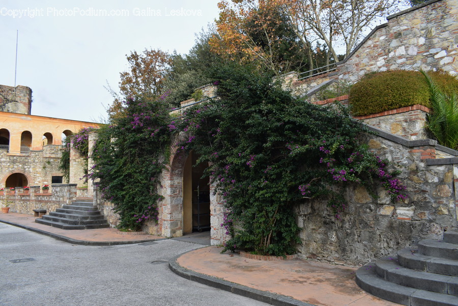 Arbour, Garden, Outdoors, Flagstone, Patio
