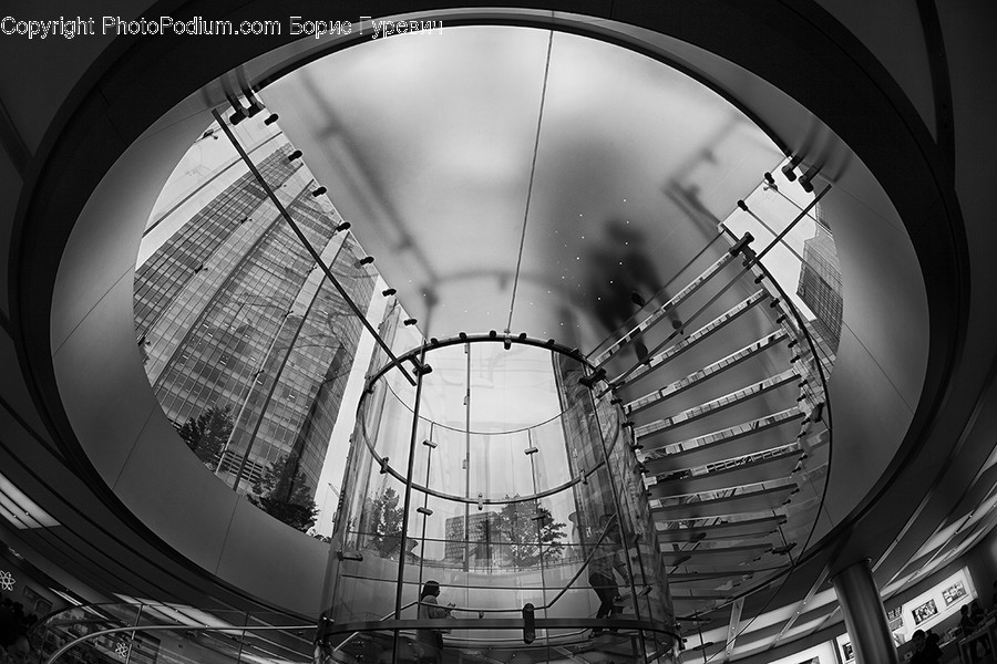 Handrail, Banister, Person, Human, Staircase