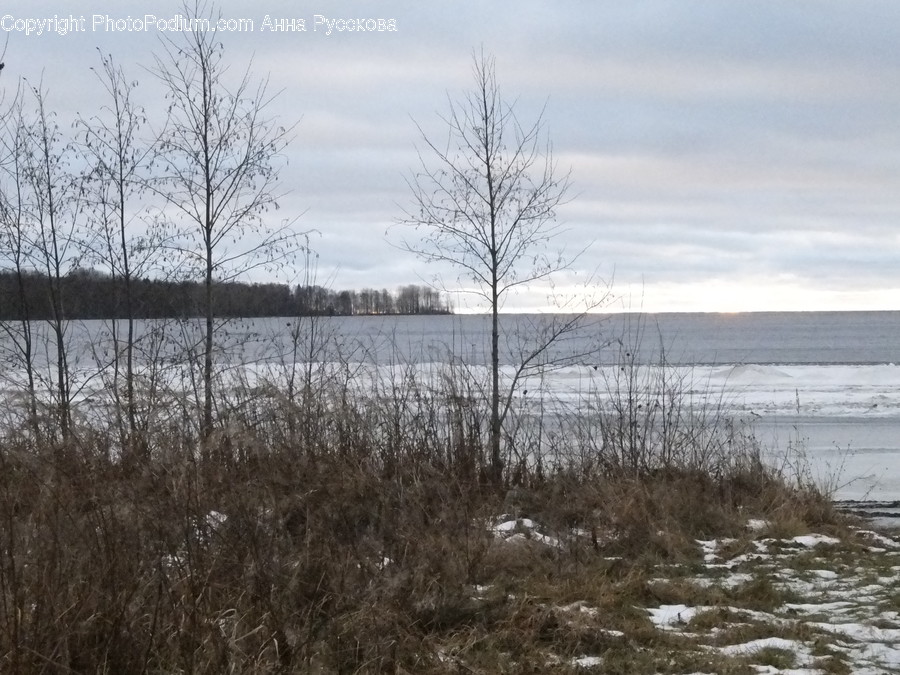 Nature, Water, Outdoors, Land, Vegetation