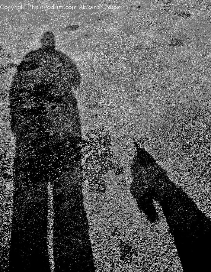 Asphalt, Tarmac, Ground, Human, Person