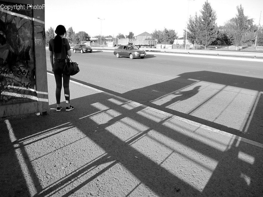Human, Person, Asphalt, Tarmac, Pedestrian
