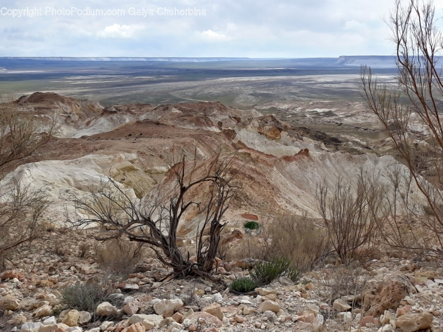Ground, Nature, Outdoors, Wilderness, Soil