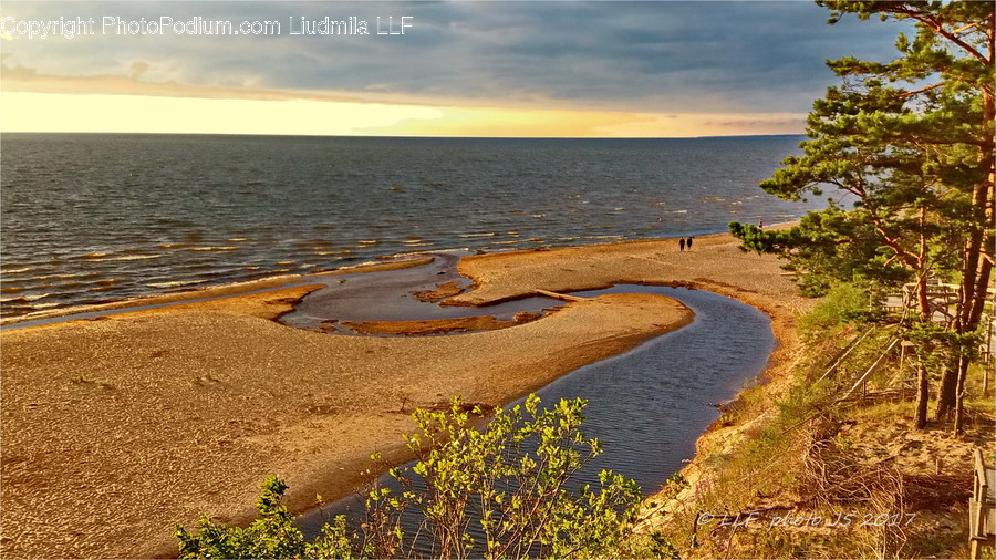 Shoreline, Water, Sea, Nature, Ocean