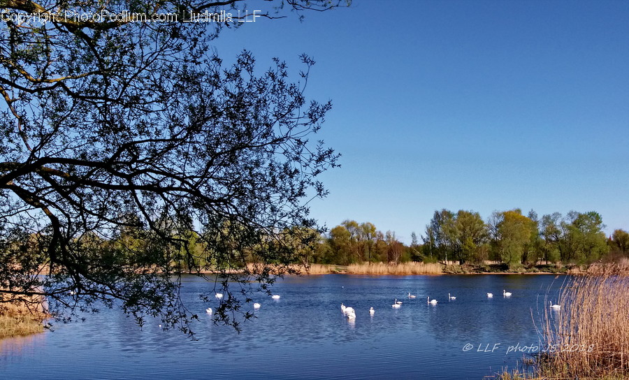 Water, Outdoors, Nature, Lake, Lagoon
