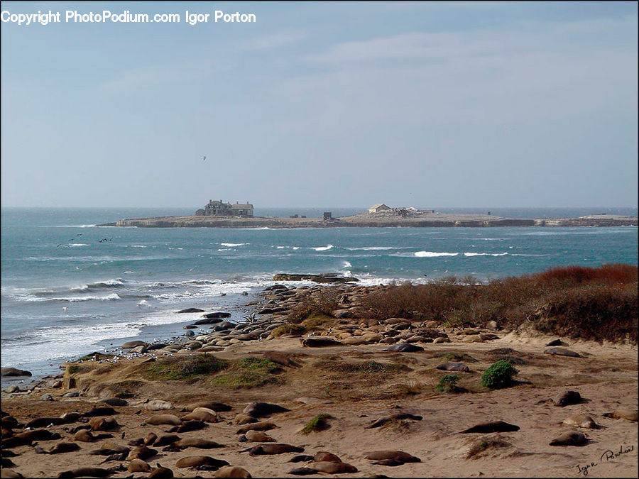 Beach, Coast, Outdoors, Sea, Water, Rock, Promontory